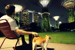 Internet Marketing Is Big Business For Young Entrepreneurs