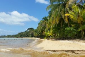 What to do in Bocas Del Toro, Panama
