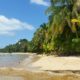 What to do in Bocas Del Toro, Panama