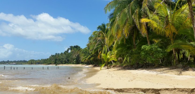 What to do in Bocas Del Toro, Panama