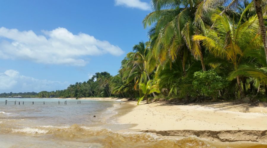What to do in Bocas Del Toro, Panama