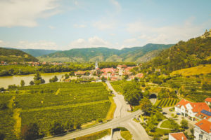 Winery Tour – Wachau Valley, Austria